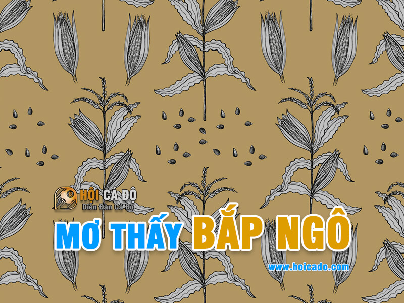 Mơ thấy bắp ngô đánh lô đề số nào ?