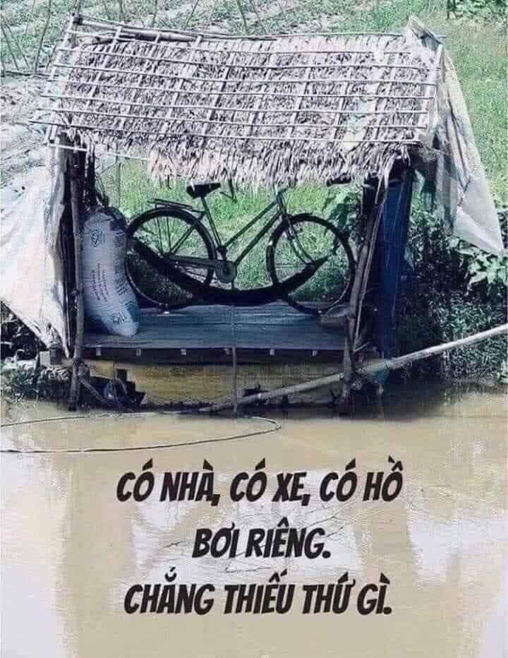 Xương Rồng